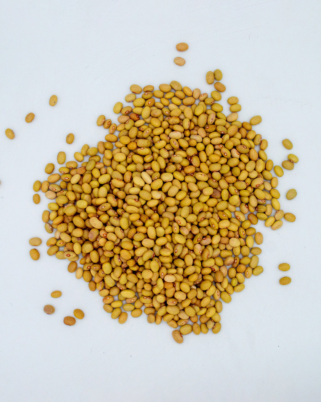 BBQ Beans & Spice Mix